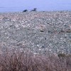 2007.04.01. - Samothraki